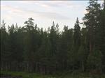 Sweden 2006-04 147